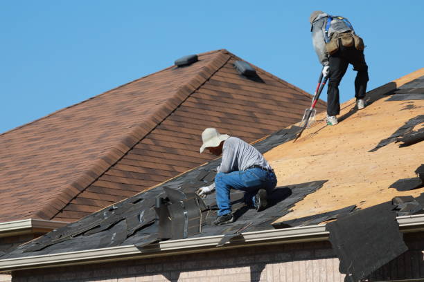 Best Asphalt Shingle Roofing  in Boise, ID